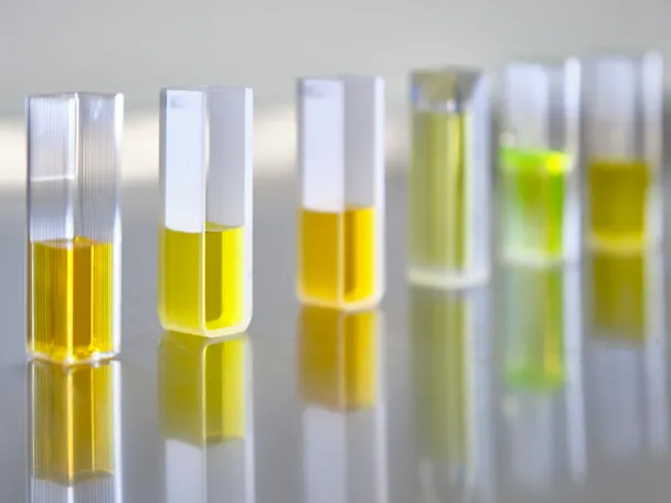 Forschung und Entwicklung Forschung und Entwicklung