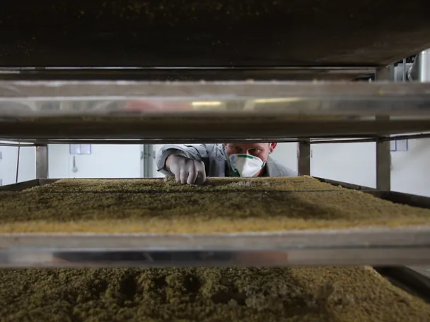 Produktion auf Blechen Produktion auf Blechen