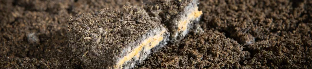 Pilz Produktion Pilz Produktion